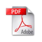 Vai al testo in formato pdf